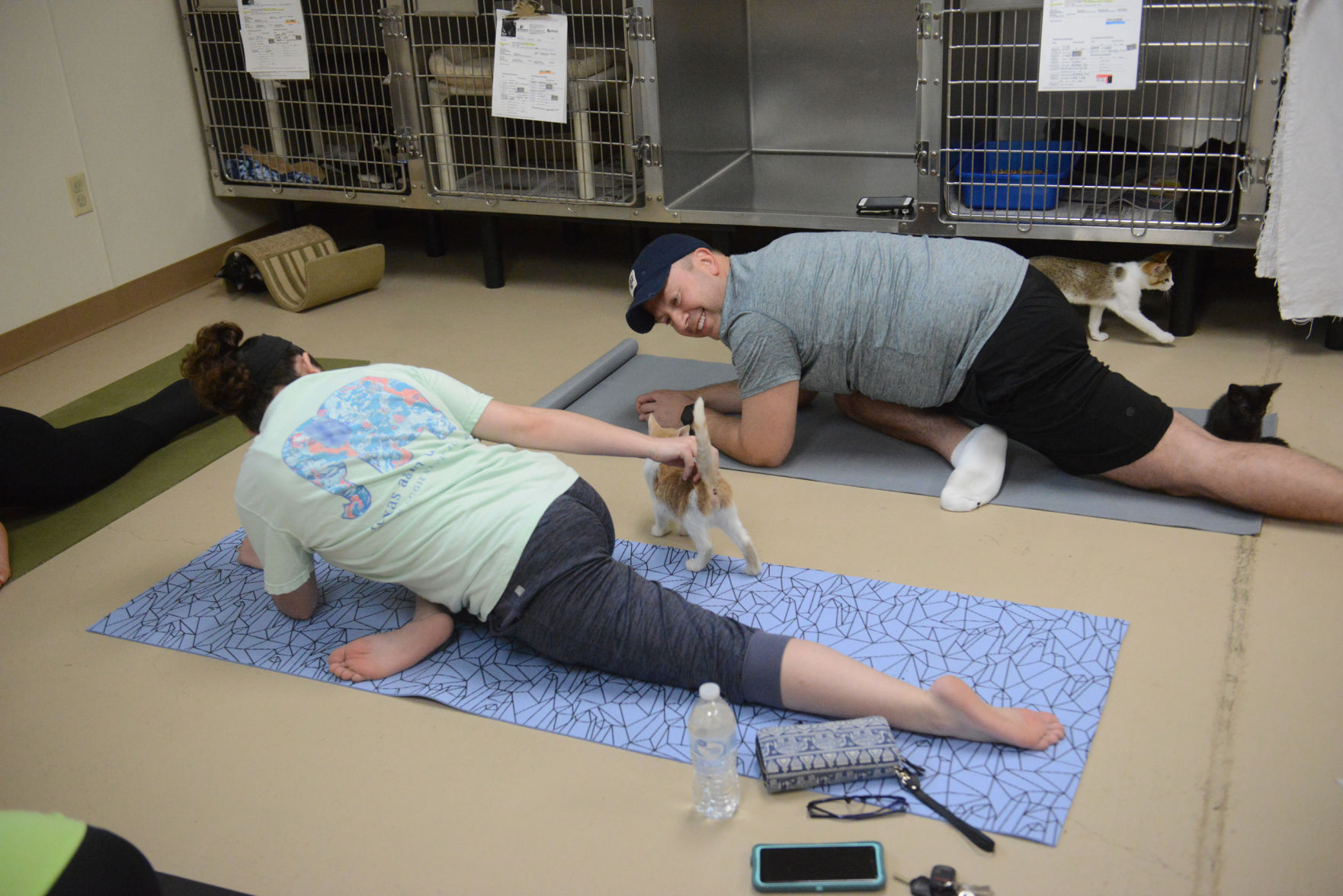 Cat Yoga at Aggieland Humane Society